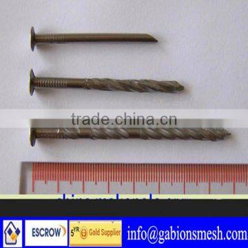 High quality,low price,boat nails,export to Asia,America,Europe