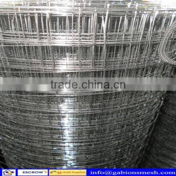 China professional factory,high quality,low price,galvanized welded wire mesh for building protection