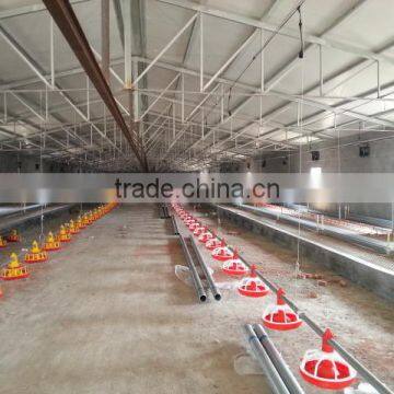 automatic chicken rearing equipment for breeder