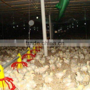 Pan Feeding System for Broiler