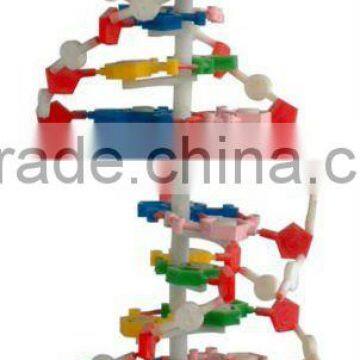 MEDICAL AND TEACHING MODEL-DNA MODEL 1 PART LM2032