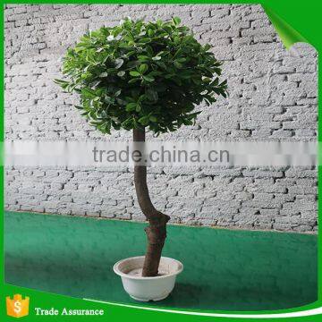 Artificial green banyan ficus trees bonsai plant