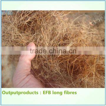 Coconut Husk Fiber Machine From Experienced Chinese Supplier Exported to Malaysia photo-2