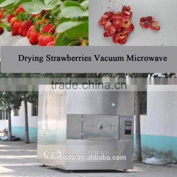 Fruit Powder Processing Machine photo-3