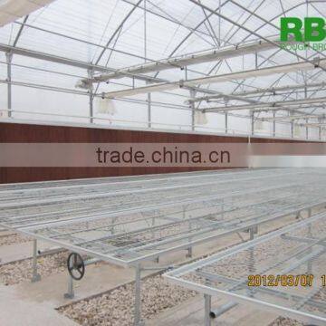 Vegetable Commercial Film Low Cost Greenhouse Multi Span High Quality for Agriculture photo-5