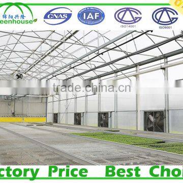 Double Inflated Film Commercial Prefabricated Greenhouse