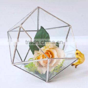 Home Design Clear Glass Terrarium Succulent Plants Greenhouses photo-4