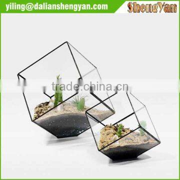 The Cube Shape Planter,geometric Glass Terrarium photo-6