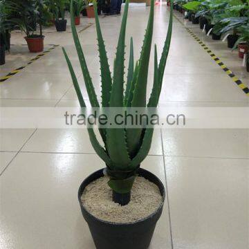 SJ30048946 Plastic asparagus plant/ artificial cactus plant for landscaping