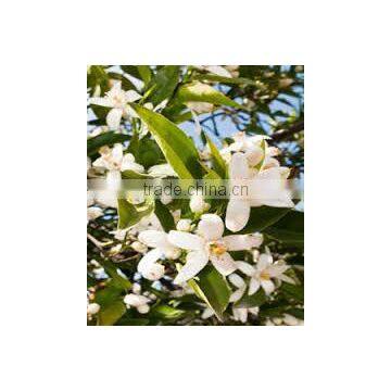 Neroli Oil photo-4