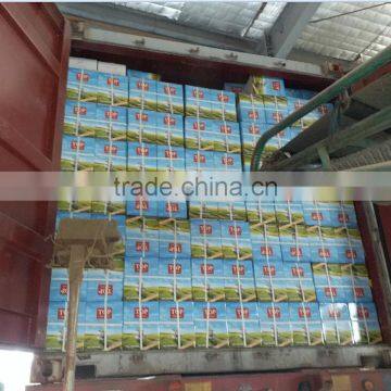For Algeria Market- Special Chunmee Green Tea, Grade Special 41022 4A photo-5