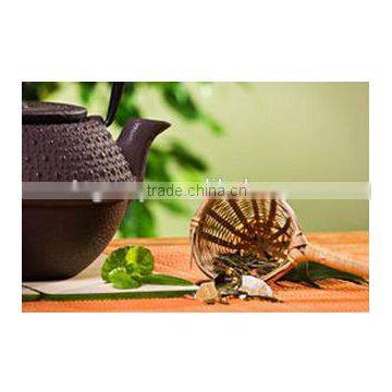 Organic EU Standard Chunmee Green Tea 9366 photo-2
