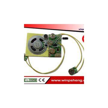 Voice Recorder Chip