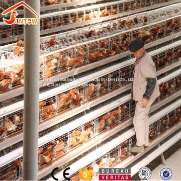 Galvanized Q235 Steel Hen Laying Battery Cage Price A Type Chicken Egg Layer Cages Automatic Poultry Farm House Design