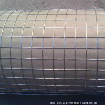 Cheap 1x1 Galvanized Welded Wire Mesh for Pets Bird Quail Rabbit Cage photo-2