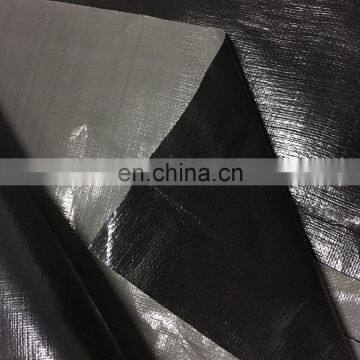HDPE Pond Liners, Used for Fish and Shrimp Ponds, Durable PE Tarp for Pond Liner