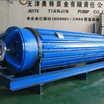 High Voltage Submersible 3-Phase Asynchronous Motor