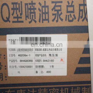 BH4Q80R8 Diesel Fuel Injection Pump 4Q206m-1 SHA2160 for Yunnei Engine photo-2