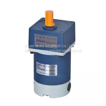 China DC Gear Motor