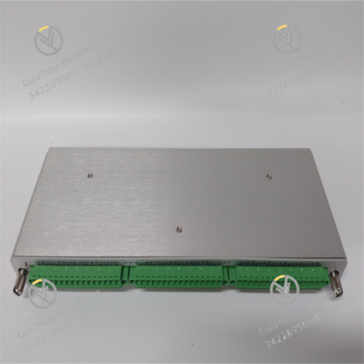 BENTLY 133819-01 Module de surveillance de température