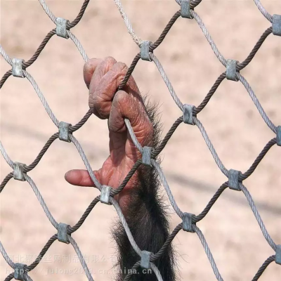 Stainless Steel Woven Open Ferrule Wire Rope Mesh Net for Zoo Bird Parrot Aviary Safety Fencing?