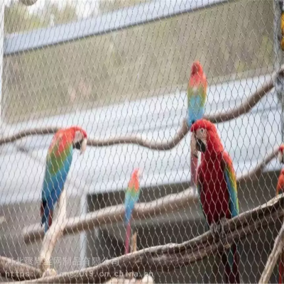 Wholesale High Quality Wire Rope Mesh/stainless Steel Wire Rope Mesh Net for Aviary photo-5