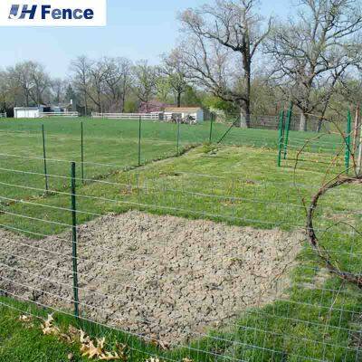 American Steel Galvanized/Green Studded Farm Fence T Post 6 ft 7ft photo-5