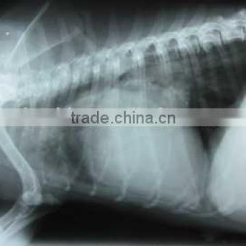 medical thermal x ray film,medical thermal dry film ,medical surgical consumables