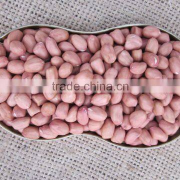 new products organic peanut kernels,blanched peanuts ,raw green peanuts for sale