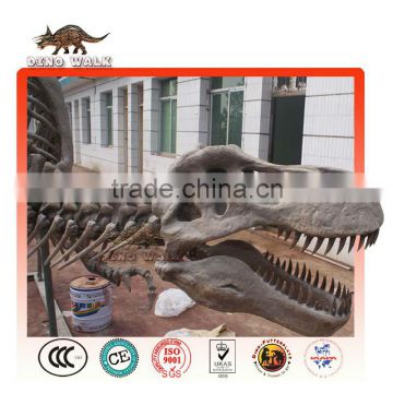 Yongchuanosaurus Fossil Replica Fiberglass Dinosaur for Sale