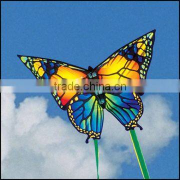 beautiful butterfly kite