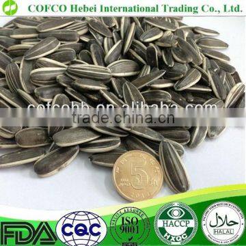 2016 New Crop Round unprocessed suflower seeds