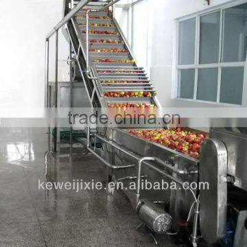 apple fruit production line