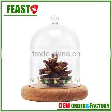 High Borocilicate Clear Glass Dome With Base