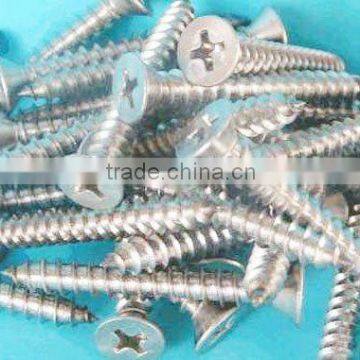 flat head Stainless steel screws