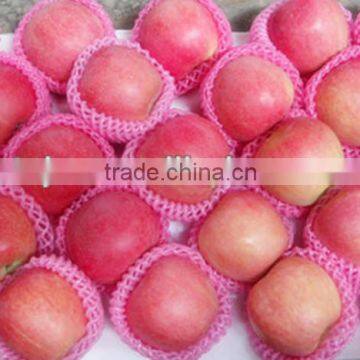 2015 China Fresh Qinguan apple in Cold storage in stock on sale