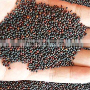 Crude Rapeseed Oil for Good Quality and Best Price DIN51605 photo-5