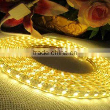 100m Decoration LED Rope Light Dimmable LED Rope Light Flexible LED Strip Lights