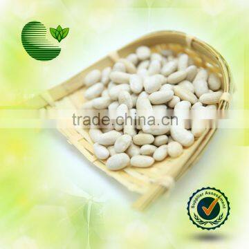 Chinese White Kidney Beans (Bai Sha Ke)