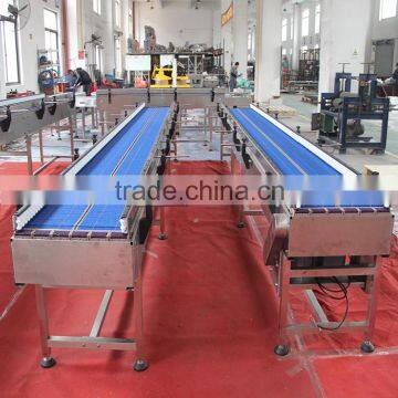LBP Roller Table Conveyor for Production Accumulation photo-4