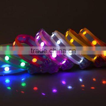 Dog paw printing led dog collar