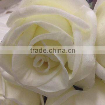 Wholesale Pure White Rose Flower Artificial Diamond Rose Head for Sale photo-3