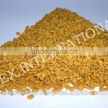 Trigonella Foenum-Graecum / Fenugreek Seeds / Methi