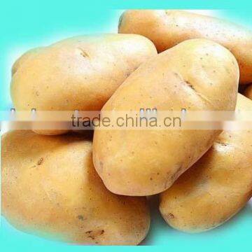 Fresh potato 150g+