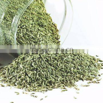 Fennel seeds price