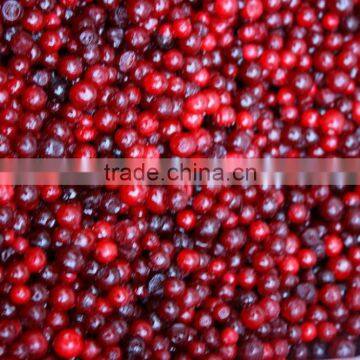 Rich in vitamin c 100% frozen lingonberry from China