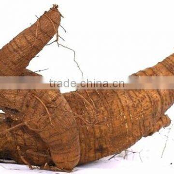 Chinese Herbal Kudzu Root Extract Powder
