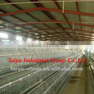 TAIYU automatic chicken farm system (egg laying birds,broilers,breeding chicken, day old chicken)
