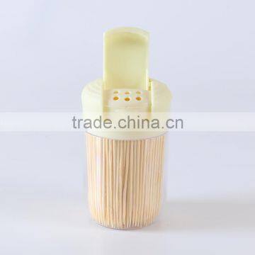 Interdental Brush Toothpick in Box photo-5