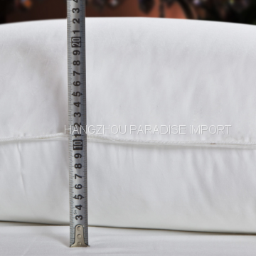 Cotton Pillow With Piping Polyester Filling photo-2